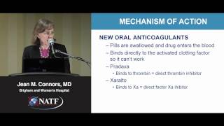 2012 Patient Seminar Understanding Anticoagulant Therapy  Jean M Connors MD [upl. by Meek662]