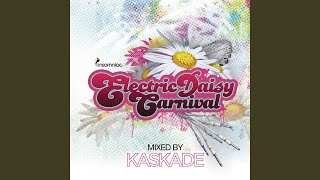 Dynasty Kaskade Arena Mix [upl. by Nekcerb]