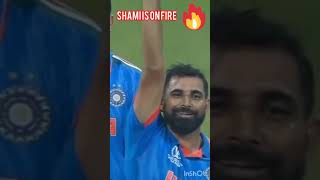 Md shamiforyou cricket shorts wc semi final [upl. by Nehgem]