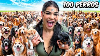 ADOPTÉ 100 PERROS en MI CASA [upl. by Kawai]