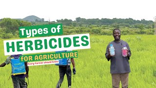 TYPES OF HERBICIDES IN AGRICULTURE Every Farmer should know Understanding the different herbicides [upl. by Enrichetta]