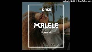 Malele Sage675 Remix2024Liz VamarasiMoombahChillMoombahChill [upl. by Atila196]