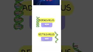 Retrovirus y Adenovirus virus adn arn transcripción genética infeccion mutacion [upl. by Tory]