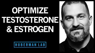 The Science of How to Optimize Testosterone amp Estrogen [upl. by Harms]