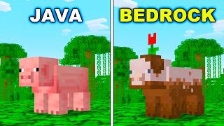 Java vs Bedrock 35 Big Differences You Need to Know in Minecraft [upl. by Burtis]