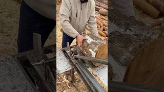 🌳Birch🌳is the best👍tree for firewood🪵 firewood woodworking splitter woodcutter [upl. by Icyak]