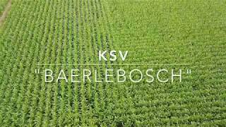 KSV Baerlebosch Promotievideo [upl. by Elyrad]