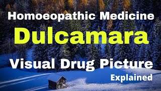 Dulcamara 30200 Uses Dulcamara Drug Picture For RainyColdDamp Weather Complains [upl. by Peursem]