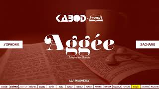 « Aggée » LAncien Testament  La Sainte Bible audio VF Complète [upl. by Dranreb82]