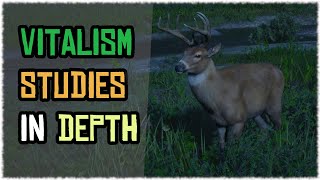 Animal transformation in Depth Vitalism studies Guide in red dead online Buck [upl. by Nirrep]