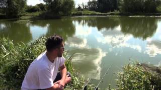 STAMBRIDGE FISHERY ROCHFORD ESSEX ANGLERS MAIL TACTICAL BRIEFINGS [upl. by Salchunas474]