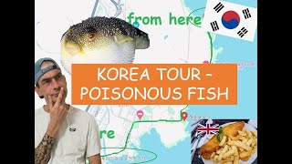 Eating poisonous fish in Korea Ep140 [upl. by Leuneb]