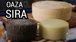 Oaza ep63  Oaza sira  SirArt 🧀 [upl. by Faustena]