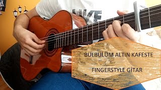 Bülbülüm Altın Kafeste  Fingerstyle Cover [upl. by Jalbert]