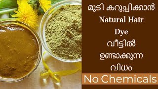 നരച്ച മുടി കറുപ്പിക്കാൻ Homemade Natural Hair Dyemudi karuppikkan malayalam [upl. by Arman]