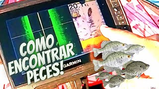 Como encontrar Peces Facil Crappies  Usando sonda garmin UHD 73 SV [upl. by Morette143]