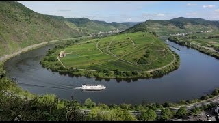 Mosel Wine harvest in Germany German Riesling in Moselle Valley Weinlese Deutschland Tourismus [upl. by Yenots639]