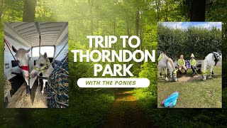 A trip out to Thorndon Park with the ponies 💚🦄 [upl. by Alfredo402]