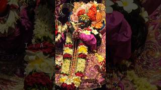 Shyama Aan Baso Vrindavan Mein  Sachet  Parampara l Krishna Bhakti Song l shorts youtubeshorts l [upl. by Navis]