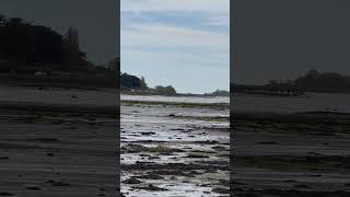 Bosham Chichester Low Tide [upl. by Schilit]