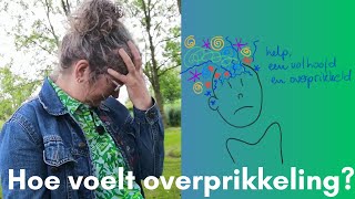 Hoe voelt overprikkeling [upl. by Domash]