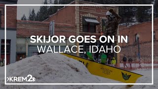 Skijoring goes on in Wallace Idaho [upl. by Ferrell]