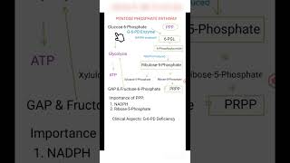 The Pentose Phosphate Pathway [upl. by Onaicilef]