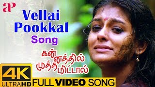 Vellai Pookal Full Video Song 4K  Kannathil Muthamittal 4K Video Songs  Nandita Das  AR Rahman [upl. by Prissy655]