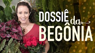 Dossiê da BEGÔNIA [upl. by Cristen]