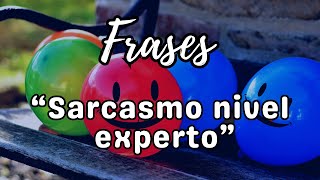 15 Frases de Sarcasmo nivel Experto  Chistes que te Harán Pensar [upl. by Chobot]