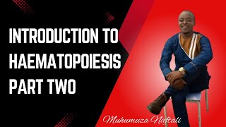 Introduction to Haematopoiesis part two [upl. by Allisirp628]