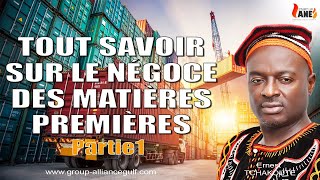 Tout savoir sur le Négoce des matières premières  Partie 1 [upl. by Yraunaj]