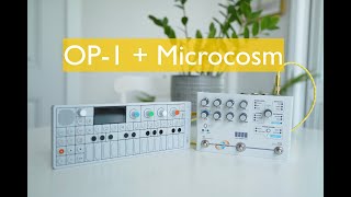 Hologram Microcosm amp OP1 Demo  an INSANE granular looper pedal for synths [upl. by Perreault]