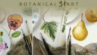 Watercolour techniques used for botanical art [upl. by Adah260]