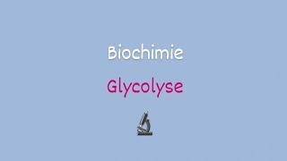 Biochimie approfondie 📍La Glycolyse [upl. by Benedikt]