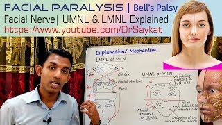 Facial Paralysis  Bells Palsy  UMNL amp LMNL explained  Dr Saykat [upl. by Kcirederf]