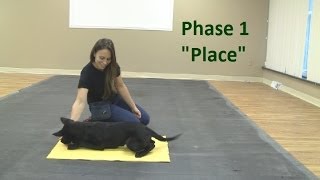 How to Train a Dog to Go to a quotPlacequot Mat K91com [upl. by Ardnaskela]