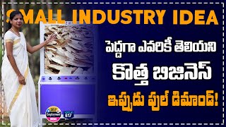 Home based business ideas in telugu  business plan with small investment [upl. by Helaina776]