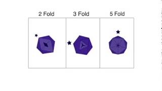 2fold 3fold and 5fold axis of rotation in an icosahedron virus capsid [upl. by Portingale]