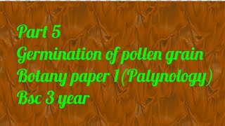 Part 5 germination of pollen grain Bsc 3 year paper 1 Palynology [upl. by Philippe]