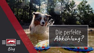 Die perfekte Abkühlung DOGSTYLER Blog [upl. by Hafeenah]