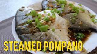 Steamed Pompano  Quick amp Easy Recipe [upl. by Tempest179]