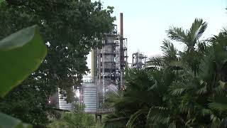 JINDAL PULLS REFINERY BID PM BLAMES UNC [upl. by Norda613]