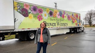 Proven Winners Annual Delivery  Trimming  Planting [upl. by Kreegar]