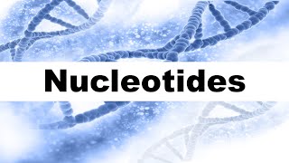 Nucleotides in DNA Short Explanation [upl. by Suirad]