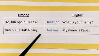 Conversational sentences in Hmong using the English word quotWhatquot with examples [upl. by Airamas]