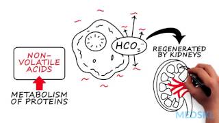 Nephrology – AcidBase Abnormalities By Bernard Unikowsky MD [upl. by Noeht730]