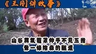 【王剛講故事】山谷霧氣籠罩伸手不見五指像壹條陰森的隧道 奇聞 懸疑 真相 [upl. by Lennox271]