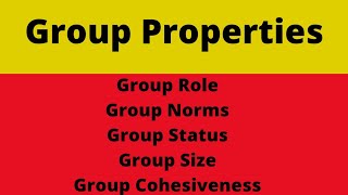 Group Properties In Organizational Behavior [upl. by Nissie156]