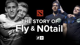 The Story of Fly and N0tail The Dota Brothers [upl. by Assiralc684]